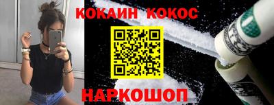 спайс Кингисепп