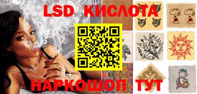 спайс Кингисепп