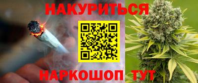 спайс Кингисепп