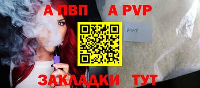 спайс Кингисепп