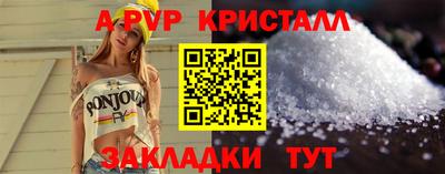 спайс Кингисепп