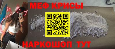 спайс Кингисепп