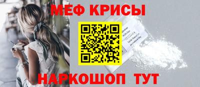 спайс Кингисепп