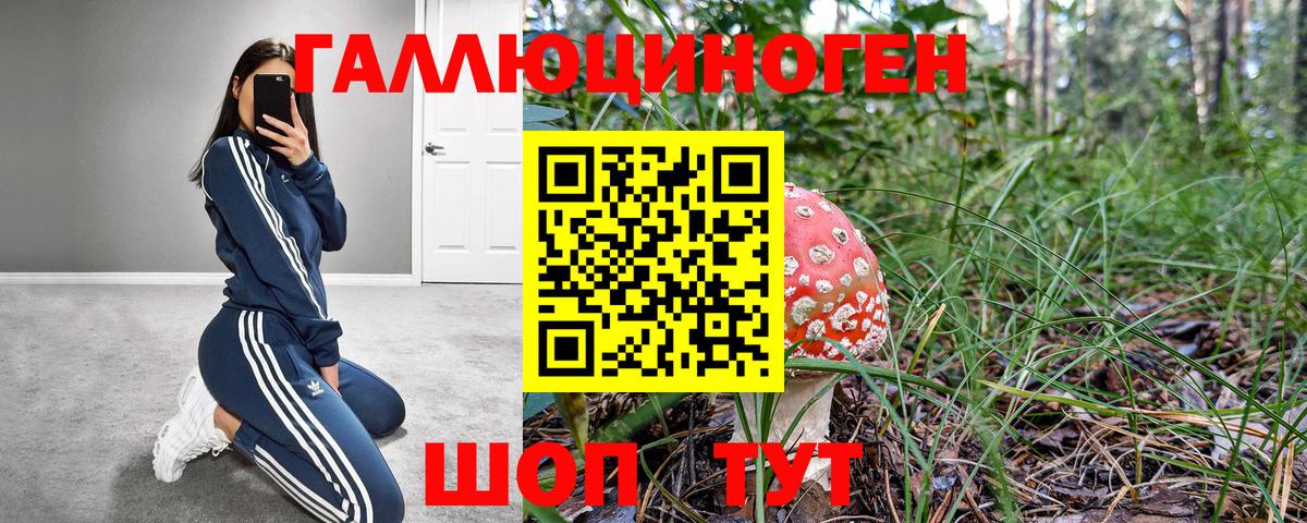 Псилоцибиновые грибы ЛСД Киров