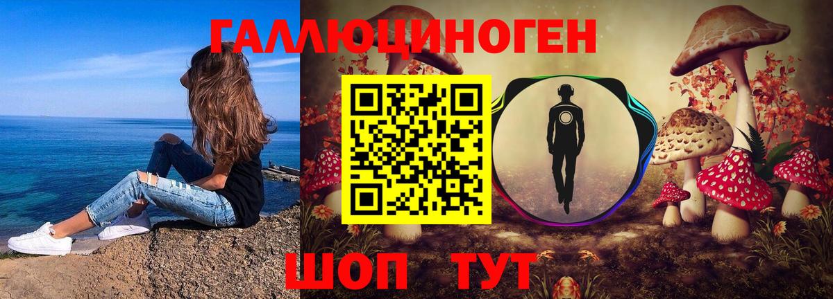 Псилоцибиновые грибы MAGIC MUSHROOMS  Вход с VPN  Киров 